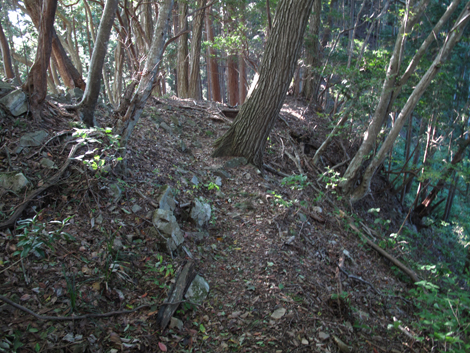 20171026hike (329)